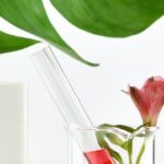 Cosméticos sin gluten: productos libres de esta sustancia para cuidar tu piel