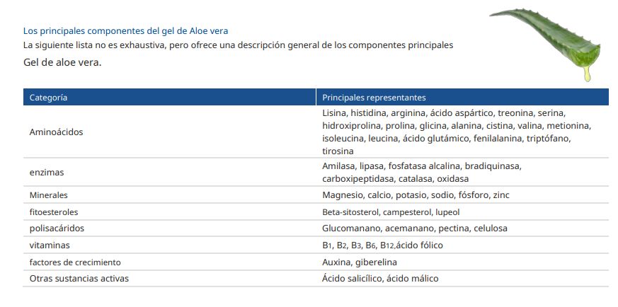 Aloe Vera componentes gel aloe vera