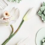 cosméticos sin alcohol