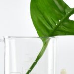 Beneficios de los cosméticos sin siliconas: guía completa