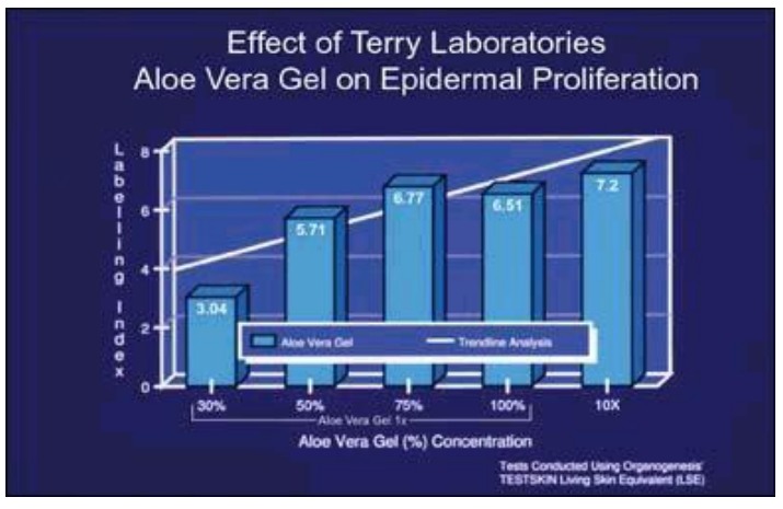 Aloe vera y lesiones en la piel estudio aloe vera efectos epidermis